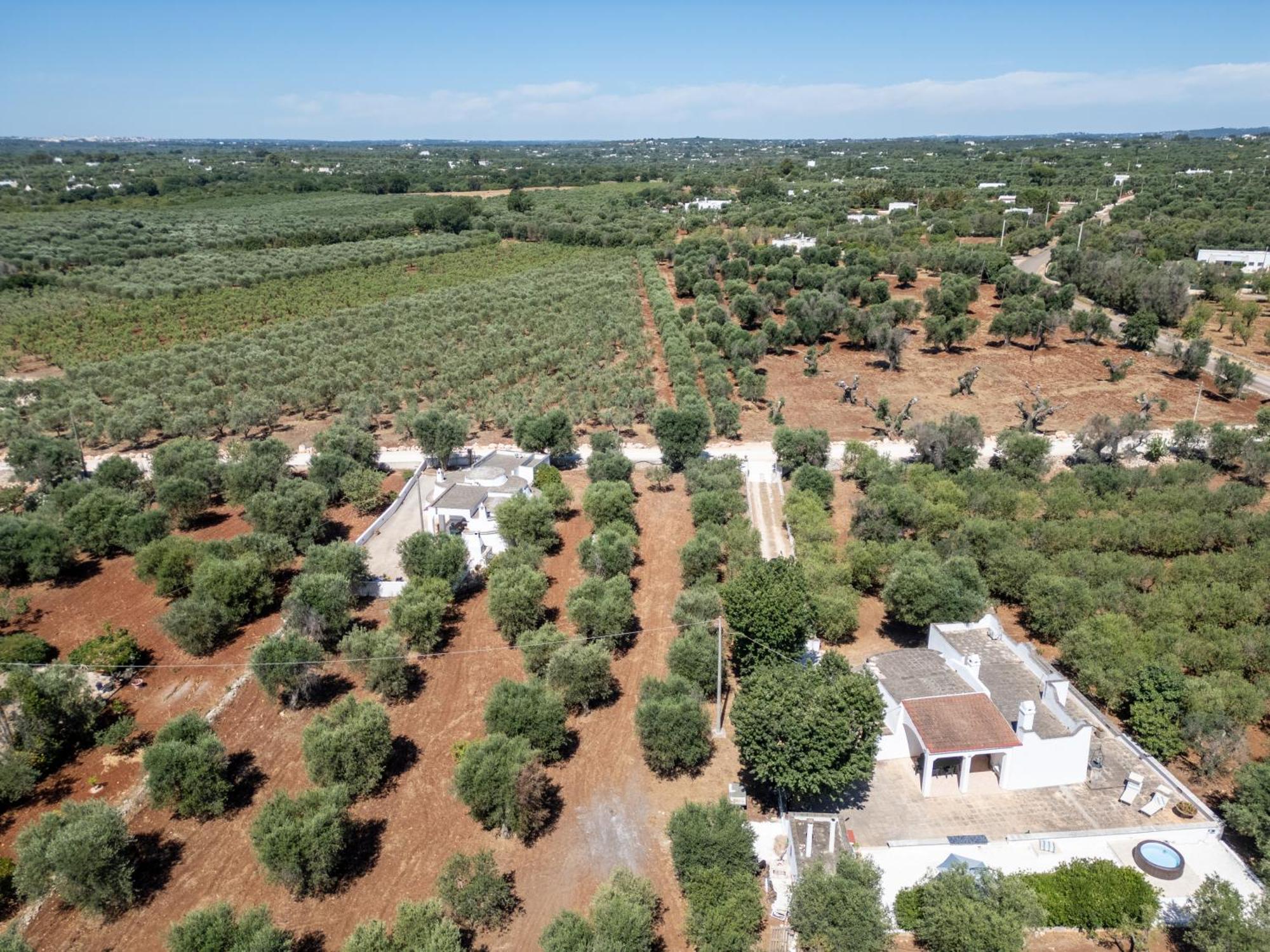 Вилла Trullo La Quercia Остуни Экстерьер фото